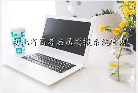 湖北省高考志愿填报系统官网